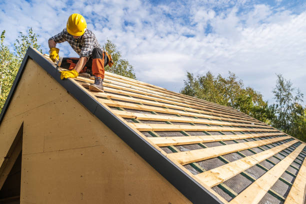 Best Roof Maintenance Services  in Hesston, KS