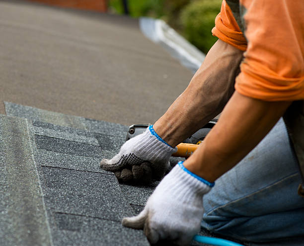 Best Local Roofing Companies  in Hesston, KS
